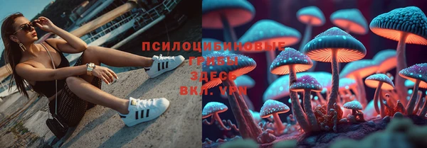 прущая мука Абинск